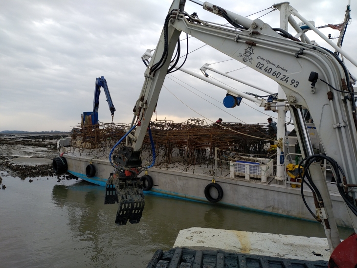 Nettoyage de parcs_5.jpg